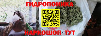 стафф Прокопьевск