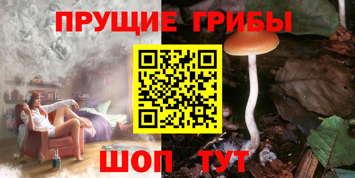 наркотики  Вход с VPN  Минеральные Воды  Псилоцибиновые грибы GOLDEN TEACHER 